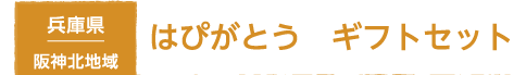 兵庫県 阪神北地域 はぴがとう　ギフトセット