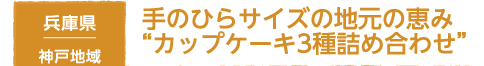 兵庫県 神戸地域 手のひらサイズの地元の恵み”カップケーキ3種詰め合わせ”