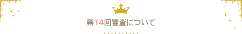 第13回審査について